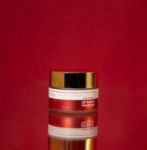 BAUME FONDANT LEVRES - 15ml Argan & Beurre de Karité