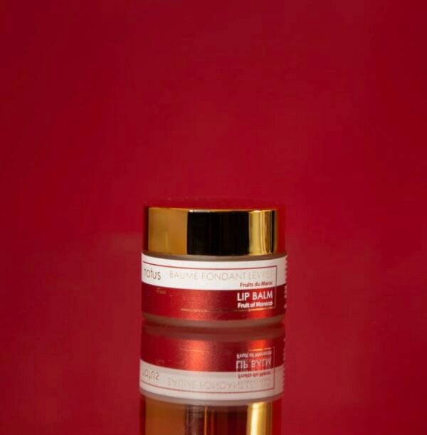BAUME FONDANT LEVRES - 15ml Argan & Beurre de Karité
